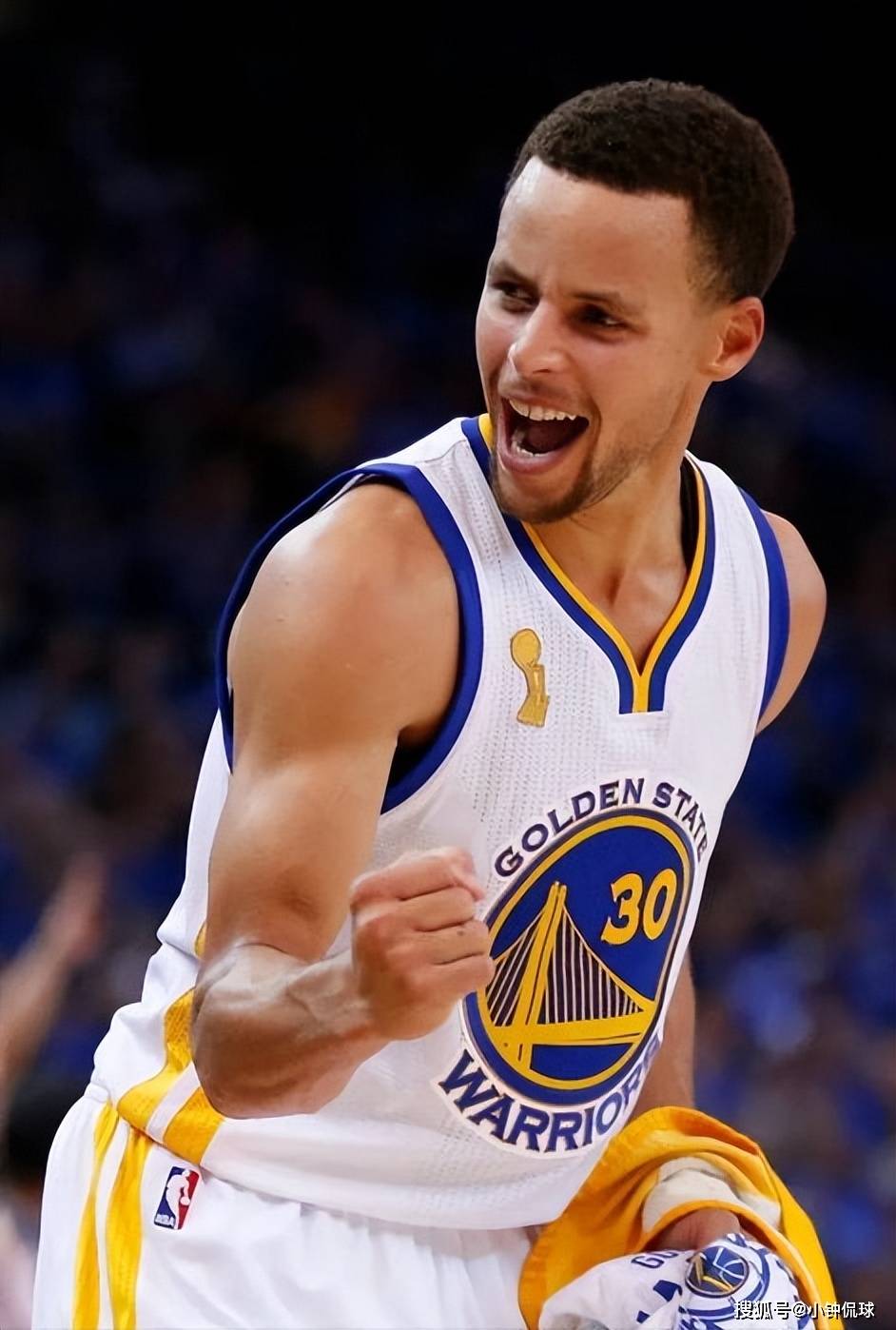 独立理事辞 独立理事辞