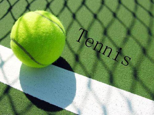 业生涯经历 业生涯经历